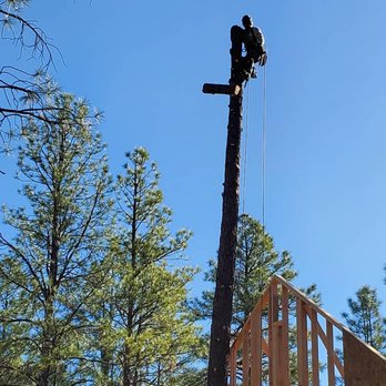 Josh Boggs Tree Service - Tree Services Near Me Josh Boggs Tree Service - Tree Services Near Me