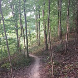 Alum Creek Phase 1 MTB Trail