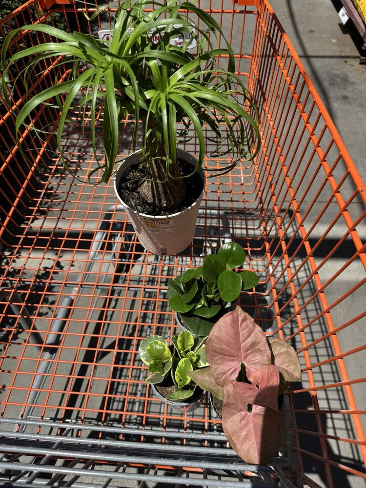 THE HOME DEPOT - Updated December 2025 - 129 Photos & 241 Reviews - 800