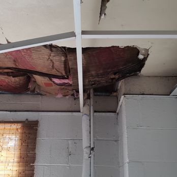 Structure & Site Inspection Services - An area of significant damage due to water penetration. Not discovered until I started pulling down the drop ceiling tiles. - Home Inspectors Near Me Structure & Site Inspection Services - An area of significant damage due to water penetration. Not discovered until I started pulling down the drop ceiling tiles. - Home Inspectors Near Me