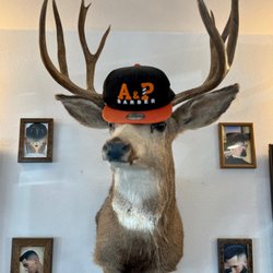 A&P Barbershop