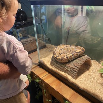 Topsail Aquarium - Two pythons - Aquariums Near Me - Surf City, North Carolina