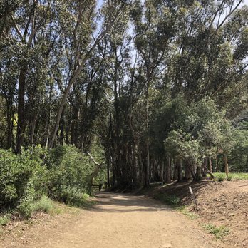 Black Star Canyon Trail - Hiking Near Me - Orange, California