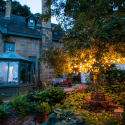 Back Garden