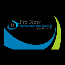 Pro Now