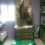 Photo of Foxy's Pet Foods and Supplies