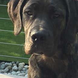 Our boy at nearly 6 months.