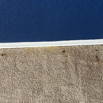 Peace of Mind - Nasty carpets when I moved in and they have the nerve to charge for carpet cleaning - Property Management Near Me - San Antonio, Texas Peace of Mind - Nasty carpets when I moved in and they have the nerve to charge for carpet cleaning - Property Management Near Me - San Antonio, Texas