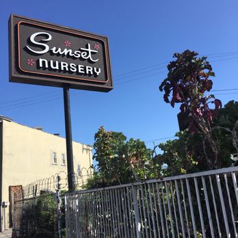 Sunset Nursery - I've always been able to find a metered parking spot right out front. - Nurseries & Gardening Near Me - Los Angeles, California Sunset Nursery - I've always been able to find a metered parking spot right out front. - Nurseries & Gardening Near Me - Los Angeles, California