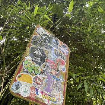 Mānoa Falls Trail - Oh my! - Hiking Near Me - Honolulu, Hawaii