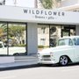 Wildflower Florist