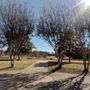 Photo of Kimzey Park