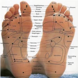 East-West Acupuncture & Herbal Center - Usually when youre feeling soreness in a certain area, you can also help relieve it through the foot area!