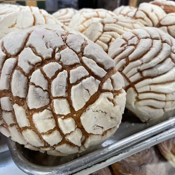 El Pan Dulce Bakery - Concha ($1) - Bakeries Near Me - San Jose, California El Pan Dulce Bakery - Concha ($1) - Bakeries Near Me - San Jose, California