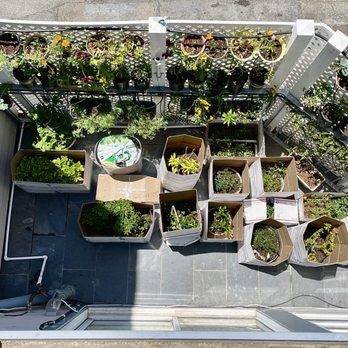Erkin's Relocation Service - Top view of my plants transported from CA to TEXAS - Movers Near Me Erkin's Relocation Service - Top view of my plants transported from CA to TEXAS - Movers Near Me