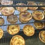 Photo of Model Bakery
