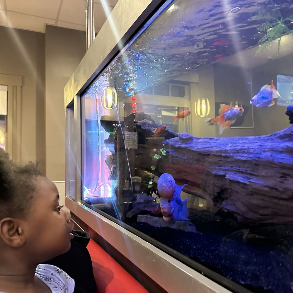 Kabuki - Fish Tank - Japanese Near Me - Horn Lake, Mississippi Kabuki - Fish Tank - Japanese Near Me - Horn Lake, Mississippi