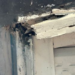 Tampa Bay Pest Pros