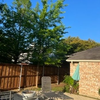 Make Me Construction - For perspective - the tree is taller than my house - not a small tree! - Fences & Gates Near Me - Ft. Worth, Texas