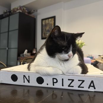 One Night Only Pizza - Thorin loves his pizza box - thank you!! - Pizza Near Me - Toronto, Ontario One Night Only Pizza - Thorin loves his pizza box - thank you!! - Pizza Near Me - Toronto, Ontario