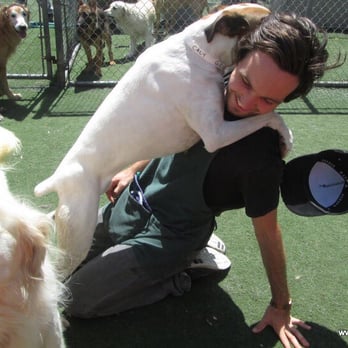 Pet Camp - Pet Training Near Me - San Francisco, California Pet Camp - Pet Training Near Me - San Francisco, California