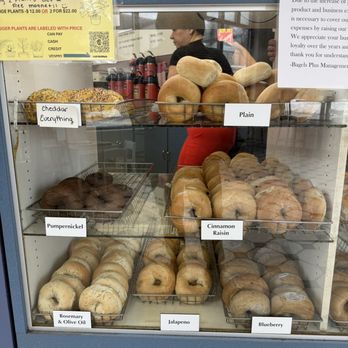 Bagels Plus - The image shows a glass-fronted refrigerated display case filled with assorted bagels, each labeled with a paper tag. The bagels include plain, cinnamon raisin, blueberry, jalapeno, rosemary & olive oil, and pumpernickel varieties. Behind the case, a person wearing a brown hat and red pants is partially visible, along with a reflection of the store interior, including fire extinguishers and a person taking the photo. The display is part of a bagel shop offering various flavors and types of bagels. - Bagels Near Me - Plainville, Connecticut