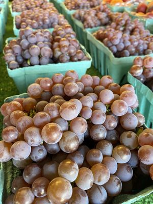 Joseph's Wayside Market by null