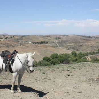 Rancho Bravo - Horseback Riding Near Me - Hemet, California