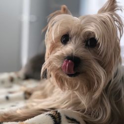 Paws up miami - When you see peanut butter treats !!!