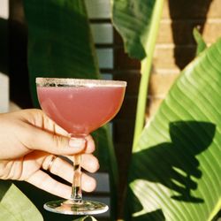 The Semi-Tropic - Craft cocktail with cool shadow