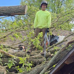 Stumpys Tree Service