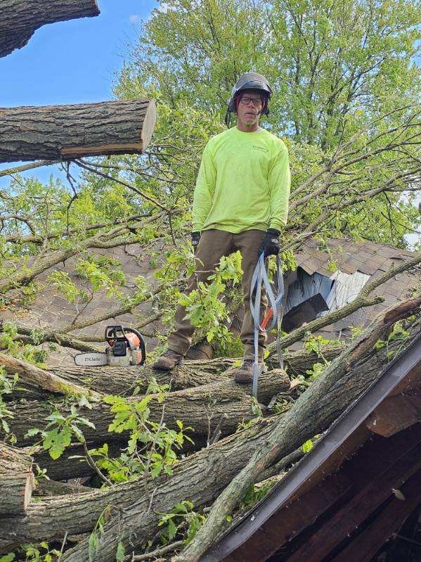 Small Stumpy Tree Service STUMPYS TREE SERVICE - Updated June 2026 - Request a Quote - Farmington ...
