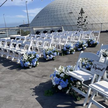 Blossom Bash Rentals - Party Equipment Rentals Near Me