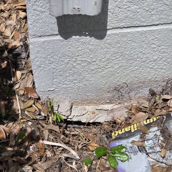 BeeSafe Pest Solutions - Pest Control Near Me BeeSafe Pest Solutions - Pest Control Near Me