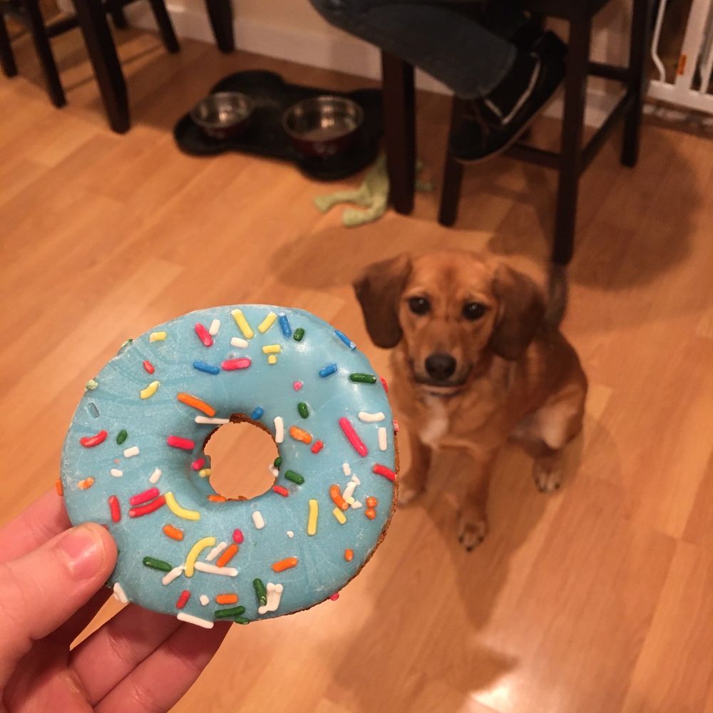 Donut from bakery near register