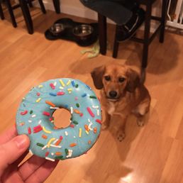 Donut from bakery near register Donut from bakery near register