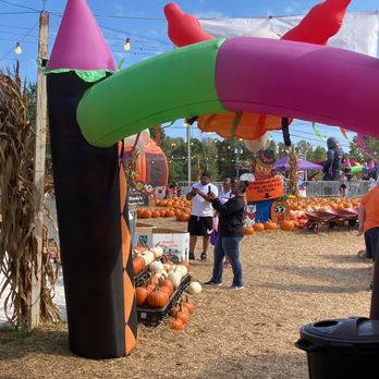 Randy's Pumpkin Patch - Pumpkin Patches Near Me - Lawrenceville, Georgia Randy's Pumpkin Patch - Pumpkin Patches Near Me - Lawrenceville, Georgia