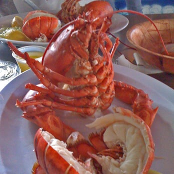 Dune Dog Cafe - lobster, served 'cracked' - American Near Me - Jupiter, Florida Dune Dog Cafe - lobster, served 'cracked' - American Near Me - Jupiter, Florida