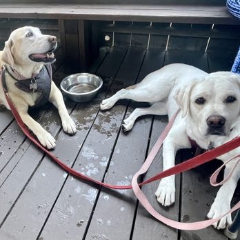 Three Pines Bistro & Bar - Back patio deck is dog friendly.  Lily & Luna like Dine n' Dash, too. - Comfort Food Near Me - Colfax, California