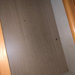 dead roaches in dresser dead roaches in dresser