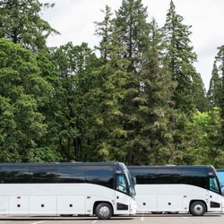 ecoShuttle Charters & Tours