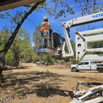 Morgan Tree Service - Tree Services Near Me Morgan Tree Service - Tree Services Near Me