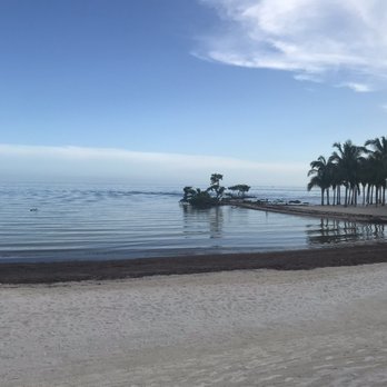 Isla Bella Beach Resort - Can't swim and it smells from the mangroves but it's nice to look at. - Resorts Near Me - Marathon, Florida Isla Bella Beach Resort - Can't swim and it smells from the mangroves but it's nice to look at. - Resorts Near Me - Marathon, Florida