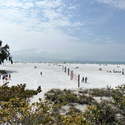 Siesta Beach Eats - Sand Pavilion - Volleyball courts
