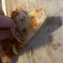 Photo of Pizza Hut