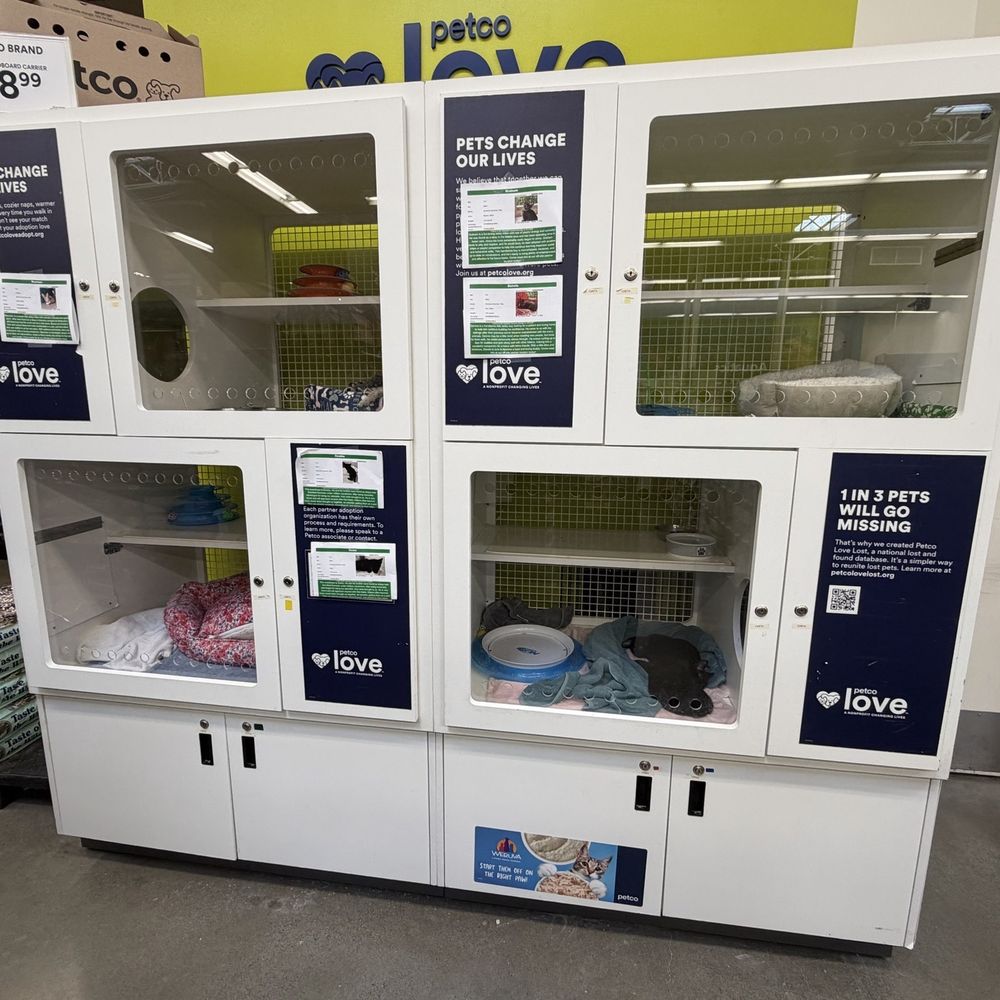 Petco - Pet Groomers Near Me - Kaneohe, Hawaii