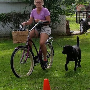 Clever K9 Dog Training - Blacky learning Bike with Marji - Pet Training Near Me - Wilmington, North Carolina Clever K9 Dog Training - Blacky learning Bike with Marji - Pet Training Near Me - Wilmington, North Carolina