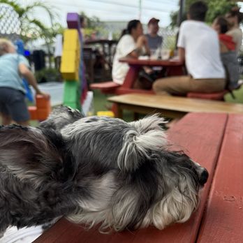 The Garden at Boardroom  - Beer Gardens Near Me - Kailua, Hawaii