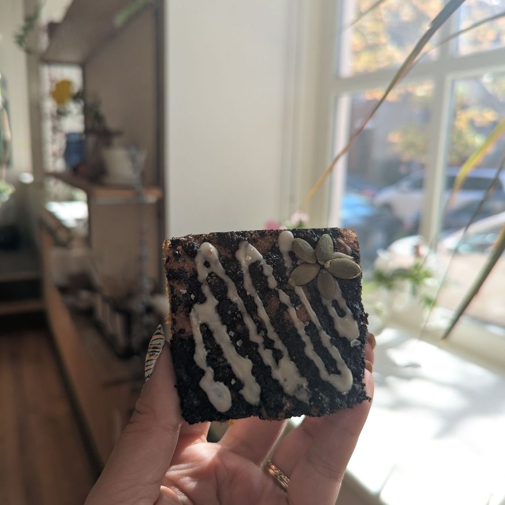 Seaforest Bakeshop - Coffee & Tea Near Me - Philadelphia, Pennsylvania Seaforest Bakeshop - Coffee & Tea Near Me - Philadelphia, Pennsylvania