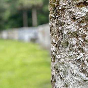 Kingsley Plantation - Landmarks & Historical Buildings Near Me - Jacksonville, Florida